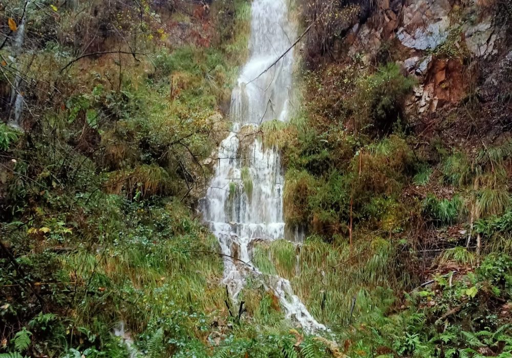 Fotografía de cascada